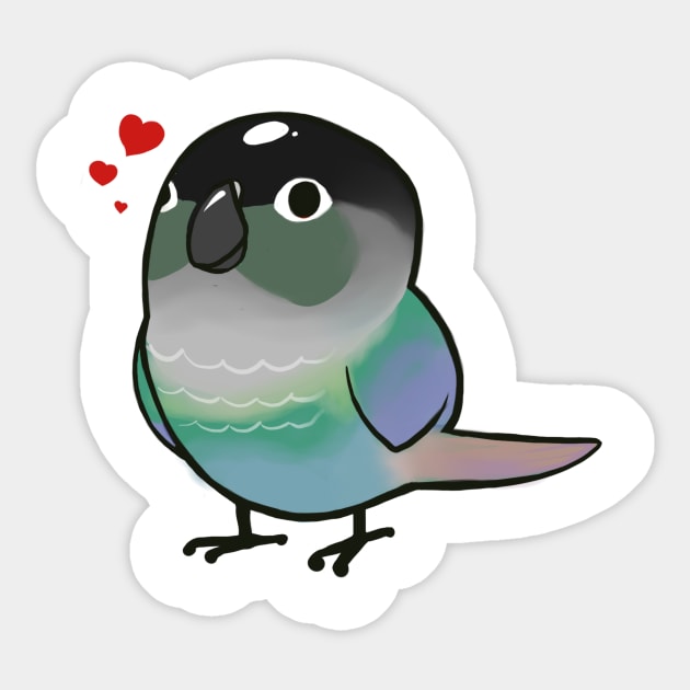 Conure 4 Sticker by Shemii